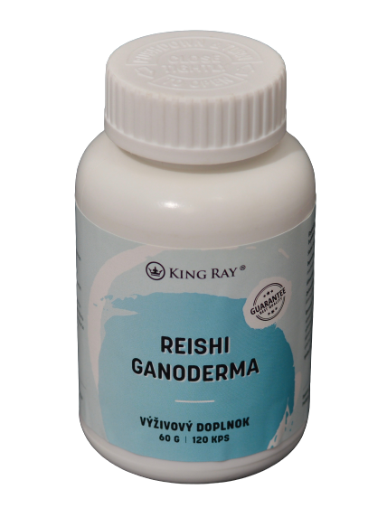 Reishi Ganoderma 120 kapsule extrakt