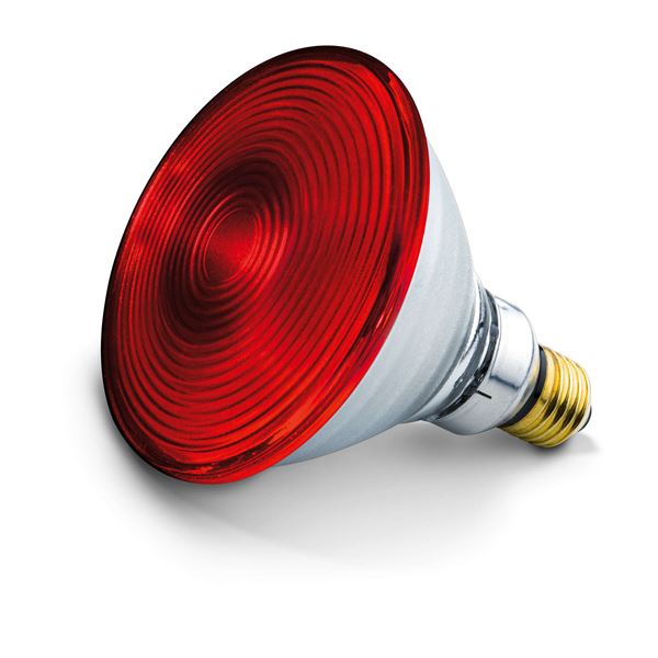Infračervená žiarovka 150W