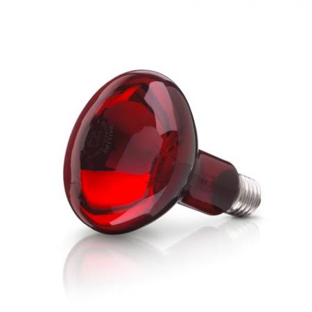 Infračervená žiarovka 100W 