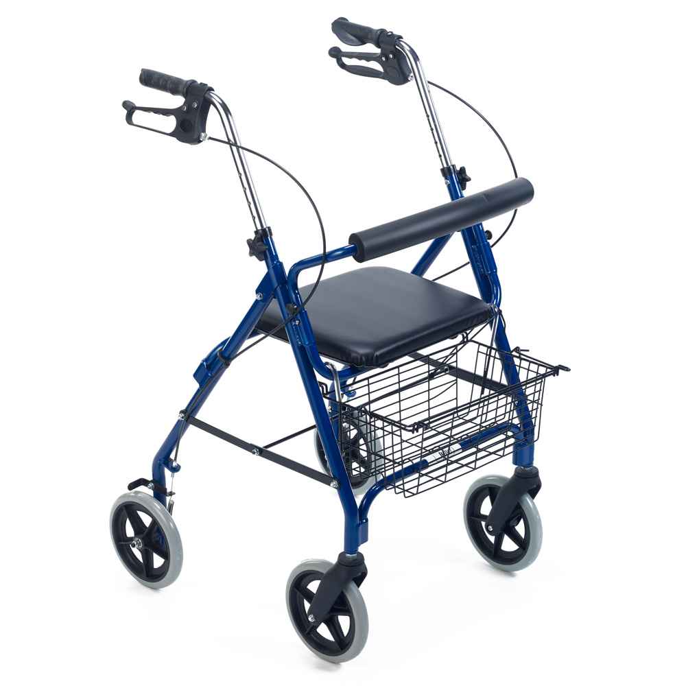 Imobilita